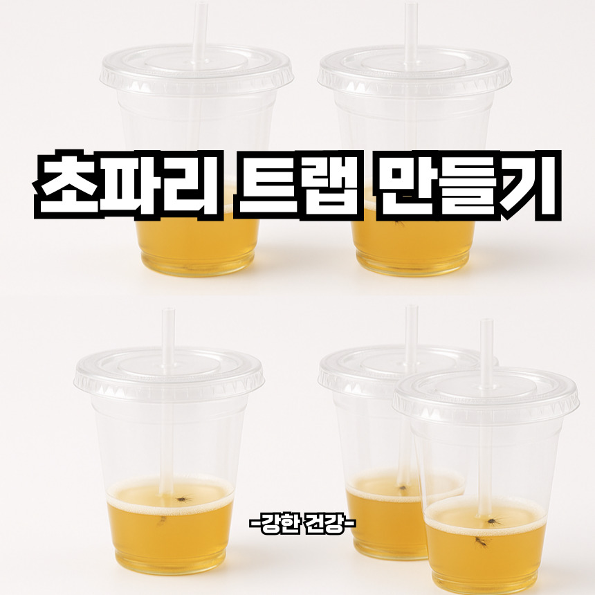 초파리트랩