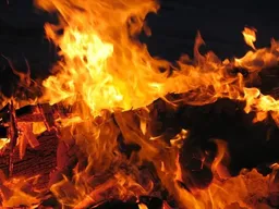 여름철 온열질환 대응 전략