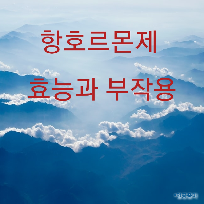 항호르몬제-효능-부작용