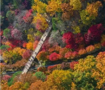 화담숲 단풍 절정시기 예약 방법까지 정리_15
