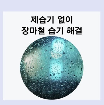 장마철 제습기 구매 전, 체크리스트