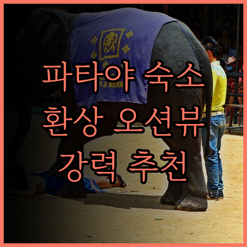파타야 비치 리조트 숙박 후기 해변과