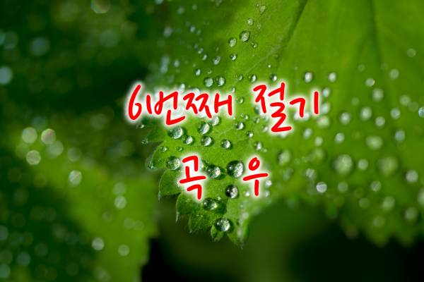 봄의 6번째 절기