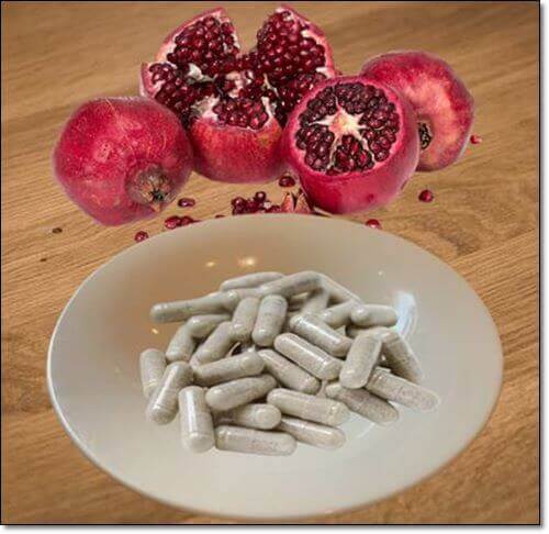 엘라그산 영양제