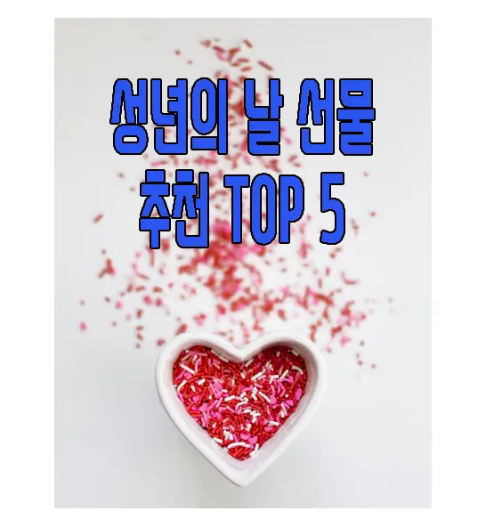성년의 날 선물 추천에 관한 글 썸네일