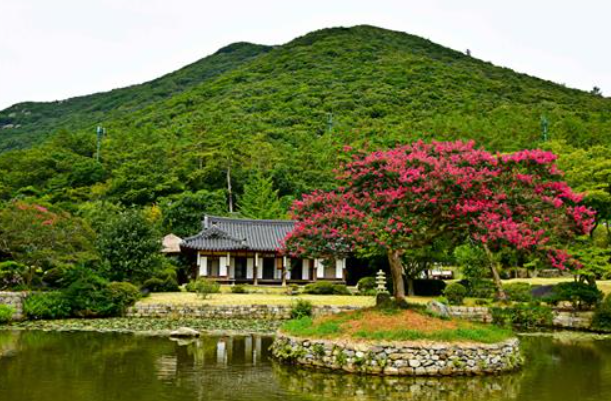 2026 보배섬유채꽃축제 일정 기간 프로그램 가볼만한곳 진도바닷길축제