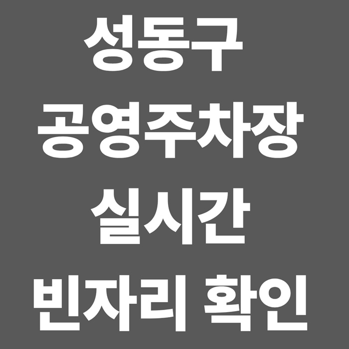 성동구 공영주차장 실시간 빈자리 확인
