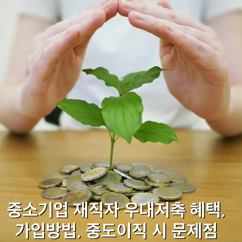 동전위에 작은 식물을 두손으로 감싸는 중소기업 재직자 우대저축 썸네일
