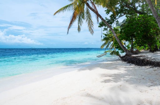 서해안 태안 해수욕장 추천 개장일 폐장일