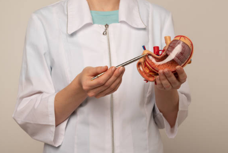 장염 증상, 원인, 빨리낫는법 총정리 (2024ver)