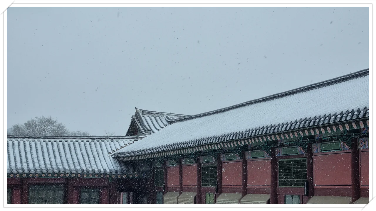경복궁 사정전 눈 내리는 기와