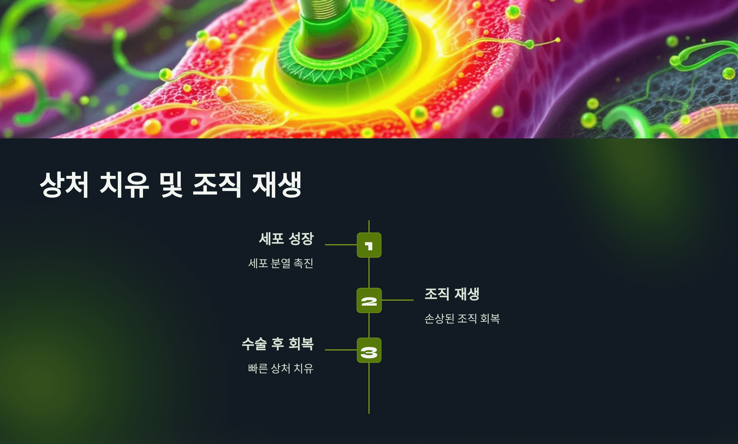 아르기닌과 관련된 사진입니다.