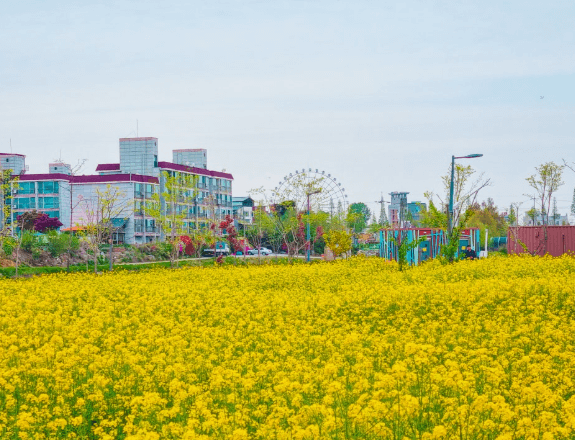 삽교호-놀이공원