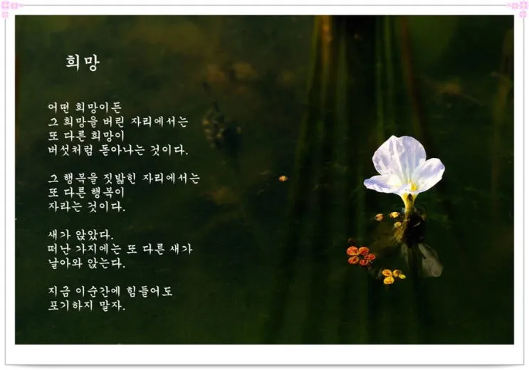 삶의 희망 관련 명언 100선_7