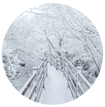 2024 제주항공 얼리버드 찜특가