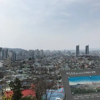 대전 가볼만한곳 베스트10 여행 놀거리 맛집_23