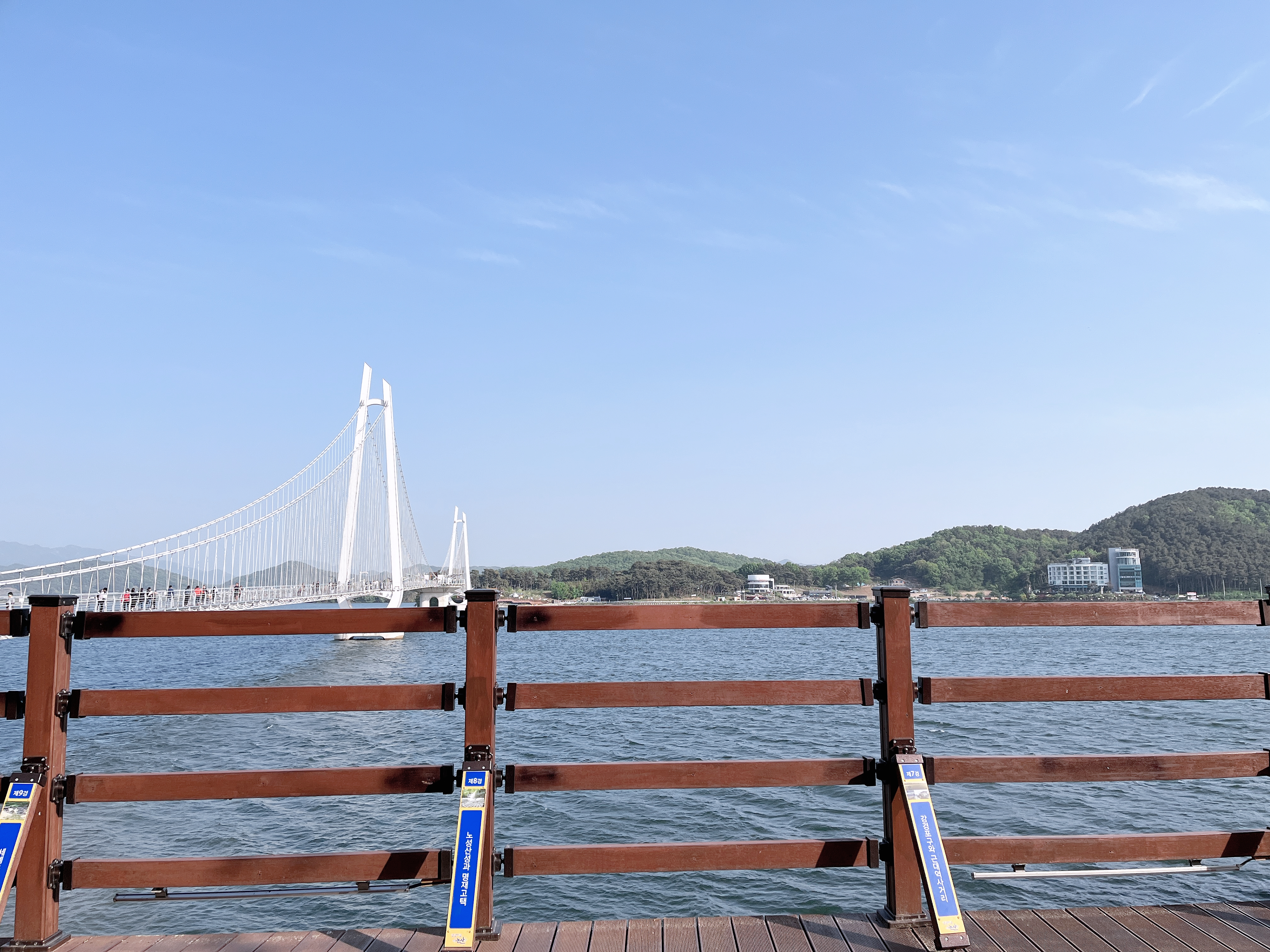 충남의 명물 <탑정호 출렁다리>