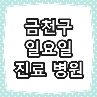 서울 금천구 일요일 진료 하는 병원