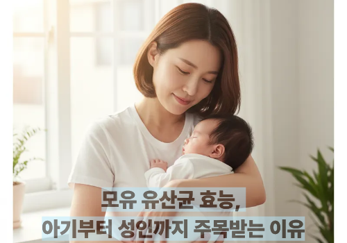모유 유산균 효능, 아기부터 성인까지 주목받는 이유