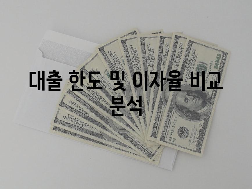 대출 한도 및 이자율 비교 분석