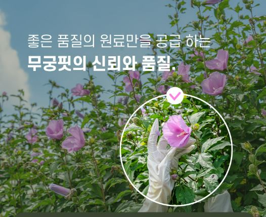 무궁핏-무궁화-다이어트