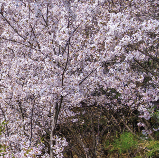 화담숲 주변 맛집 가볼만한곳