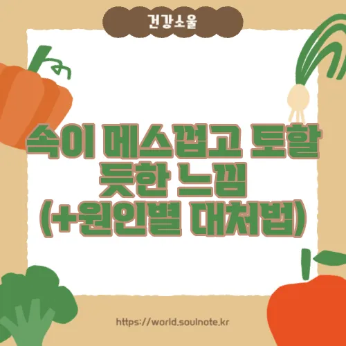 속이 메스껍고 토할 듯한 느낌 (+원인별 대처법)