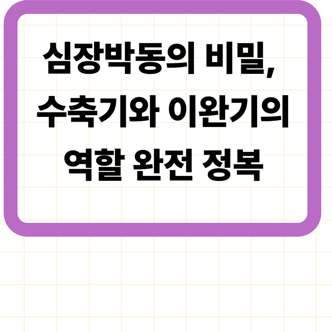 심장박동의 비밀, 수축기와 이완기의 역할 완전 정복