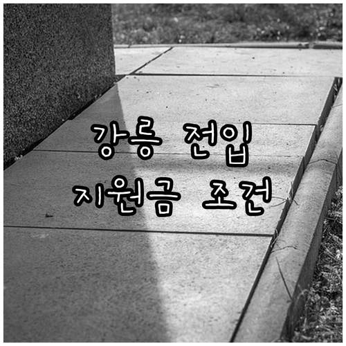 강릉시 2025 전입 지원금 조건, ..