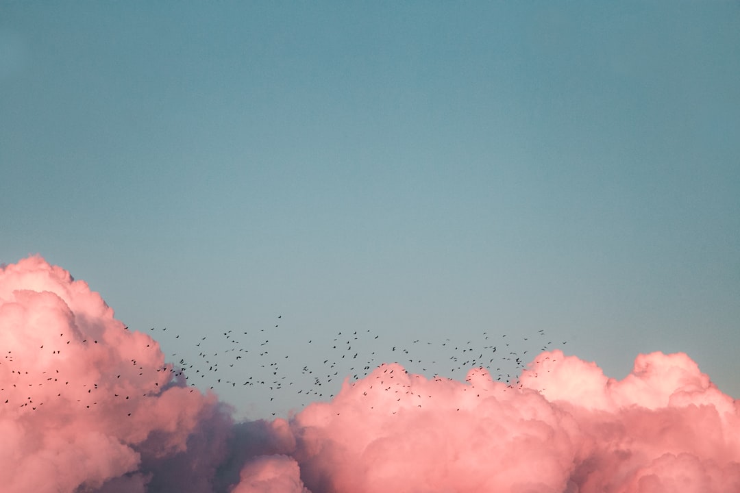 Wallpaper