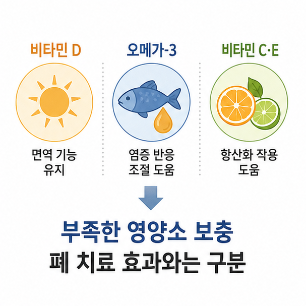 비타민 D와 오메가3, 비타민 C&middot;E의 폐 건강 관련 내용을 비교한 이미지