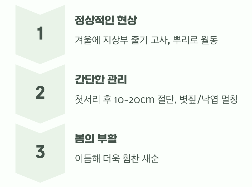 추운 겨울을 이겨내는 법&amp;#44; &amp;#39;월동&amp;#39;