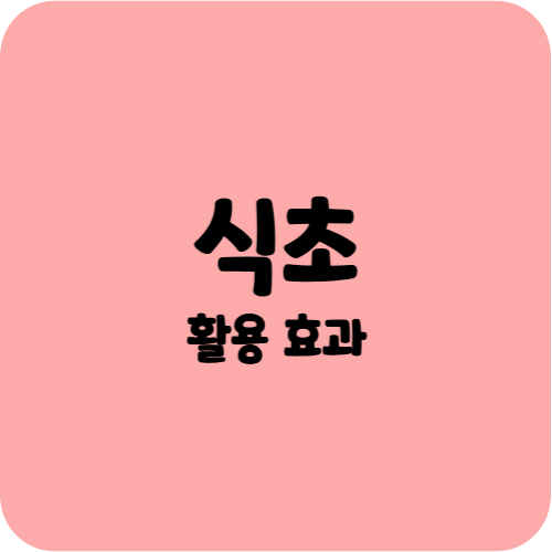 식초 활용 효과