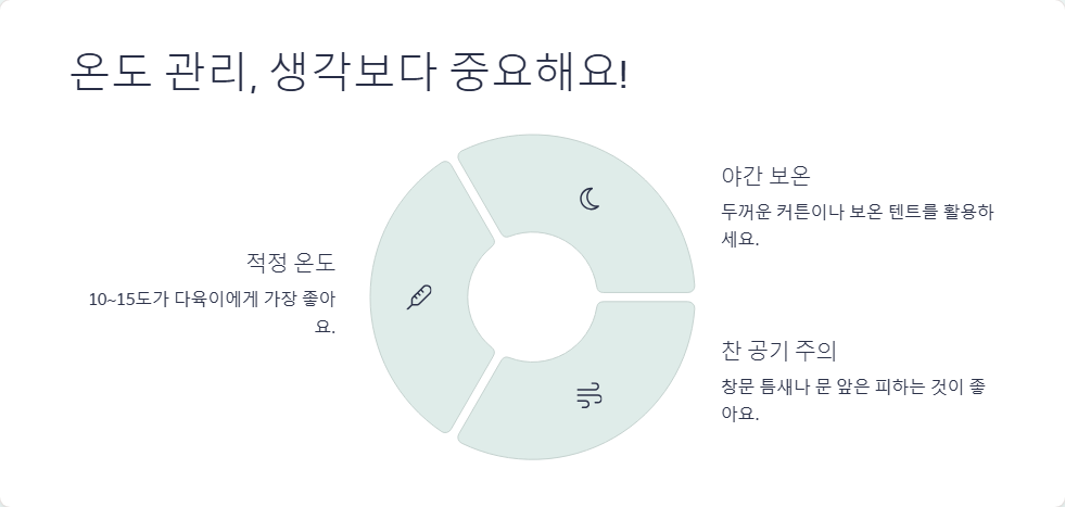 겨울철 다육이 관리 노하우