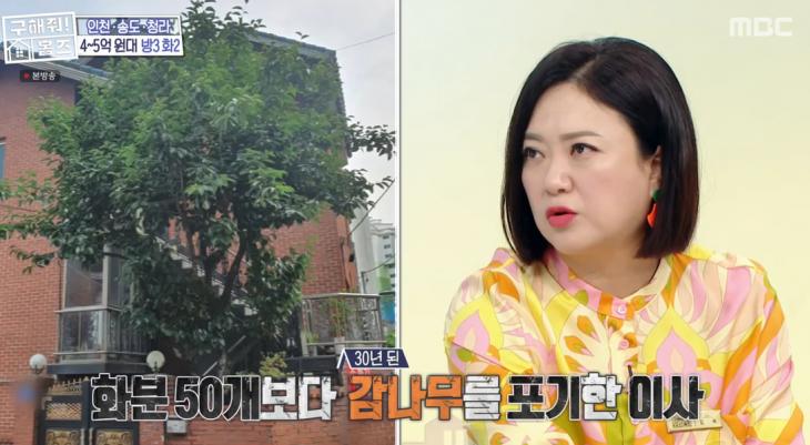구해줘홈즈 김포 인천 매매 전세 4-5억 원대 바다로가라 그린 키친스 클럽 송도 바다뷰를 남기고 천창 여기있테이 청라 만세삼창 매물 소개