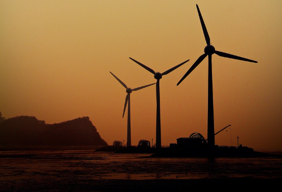 대부도 풍차 사진