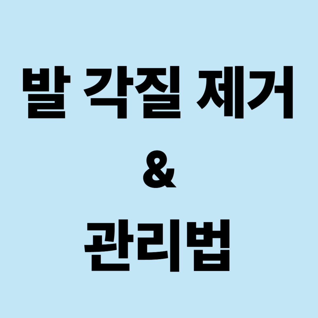 2025 발 각질 제거 &amp; 관리법
