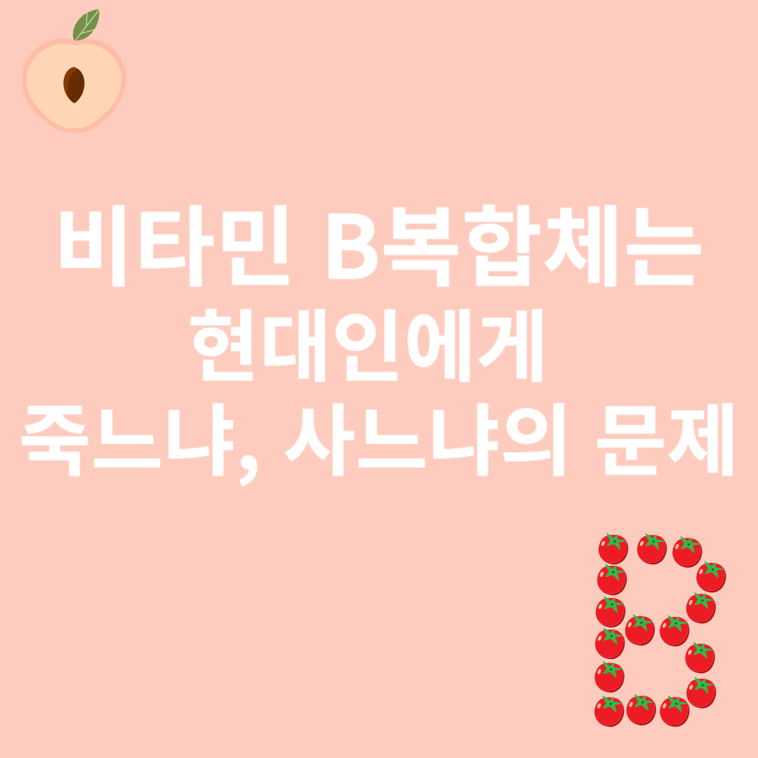 비타민B복합체에 대한 이미지