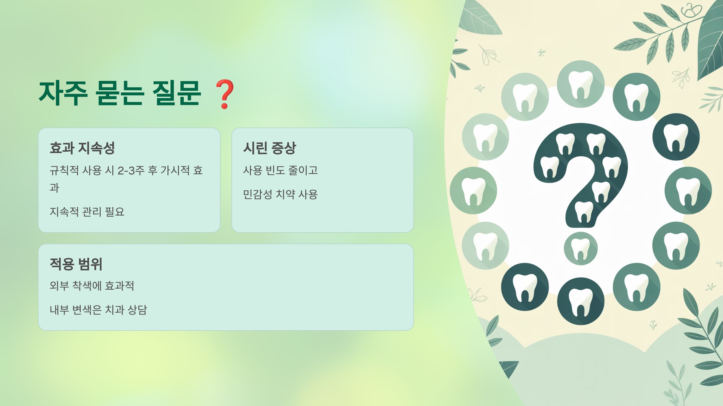 자주 묻는 질문