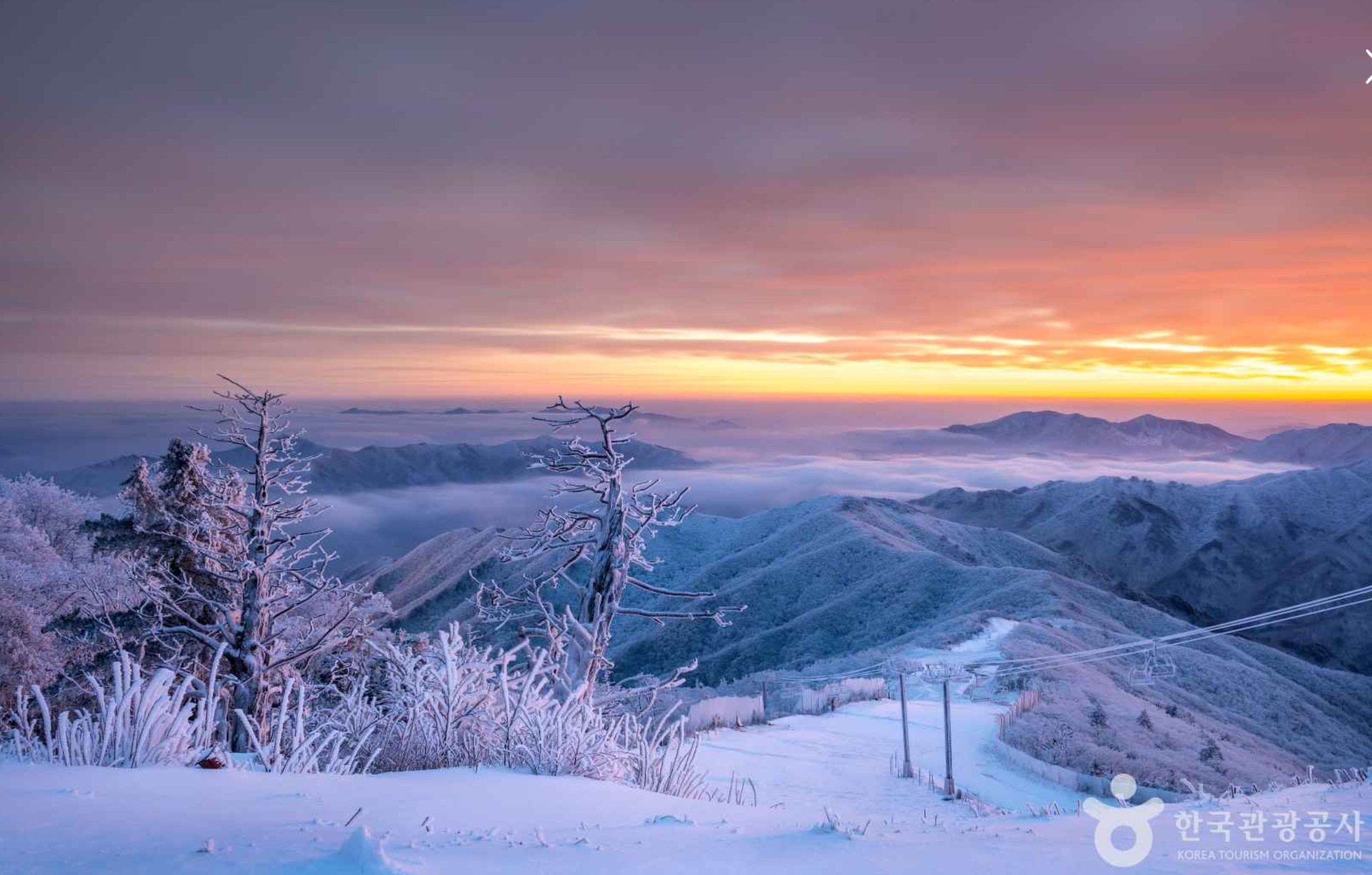 겨울-1박2일-국내-가족-여행지-무주리조트