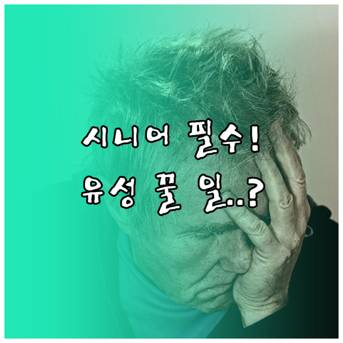 대전 유성구 시니어클럽 일자리 종류 ..