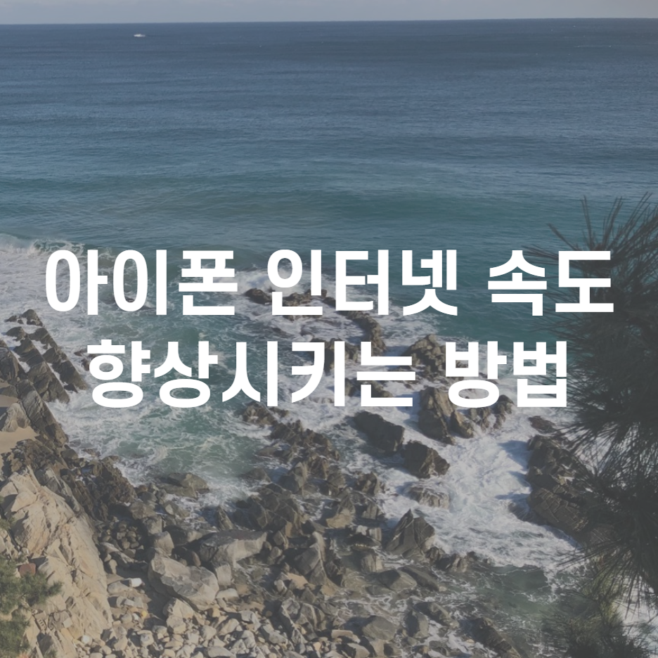 아이폰 인터넷 속도 향상 방법