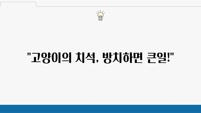 양치질이 없이 방치하면 위험한 고양이 치석 문제