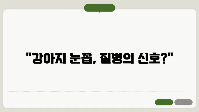 강아지 눈에 눈꼽