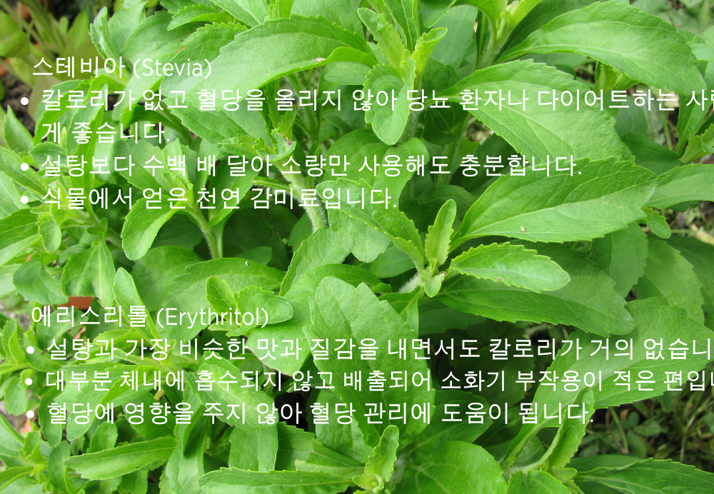 alt="스테비아"