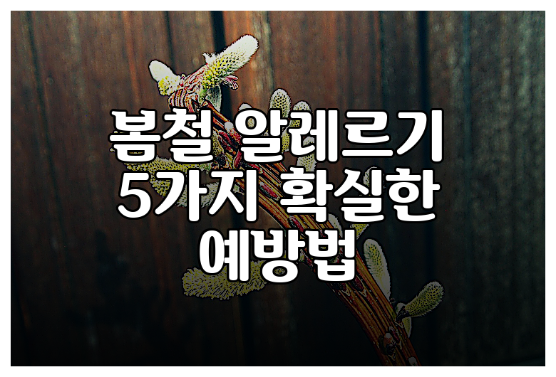 봄철 알레르기 5가지 확실한 예방법