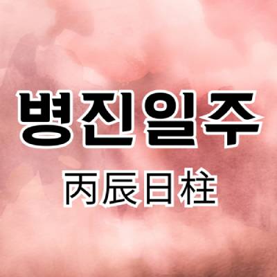 병진일주