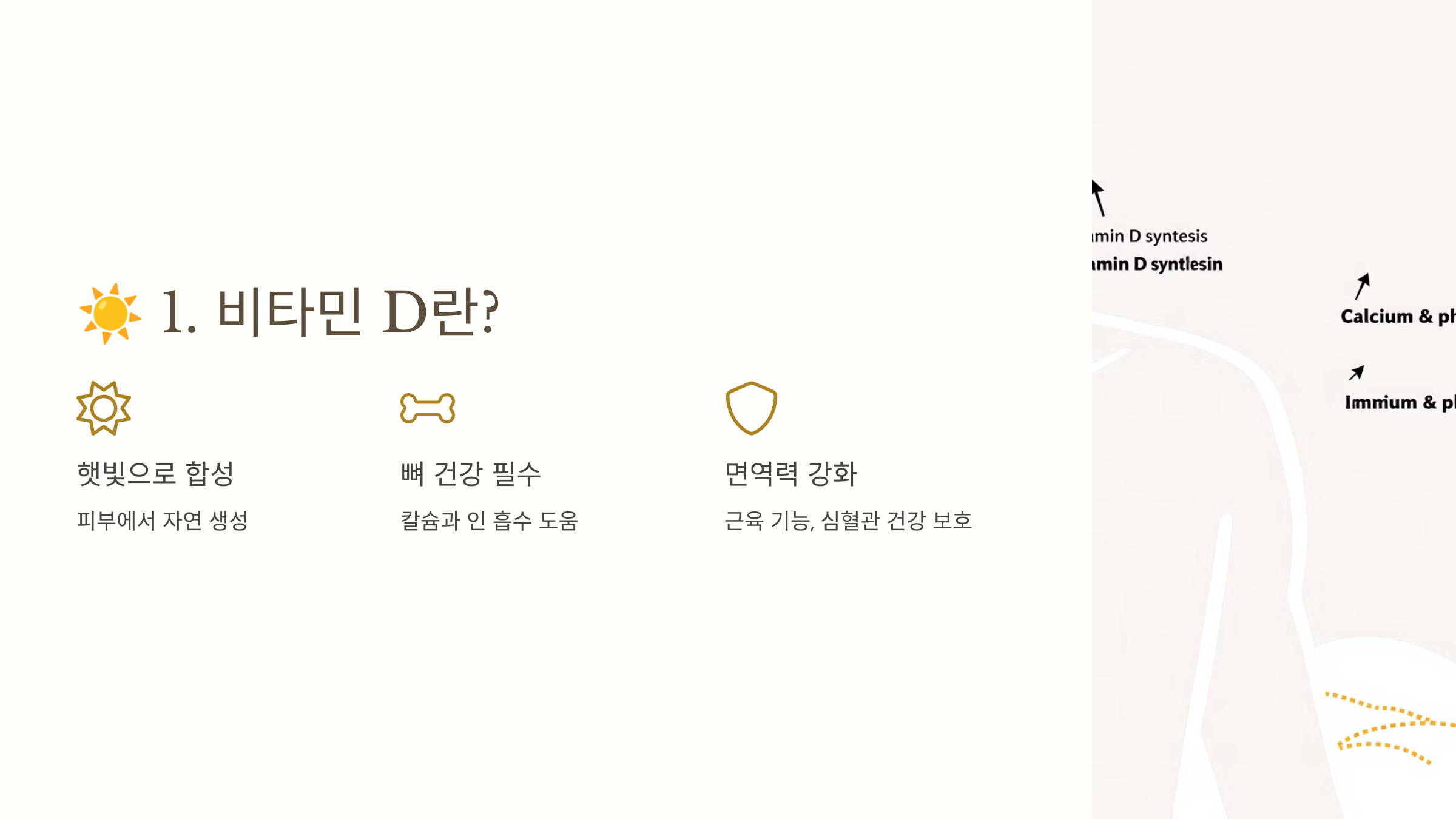비타민D와 관련된 사진입니다.