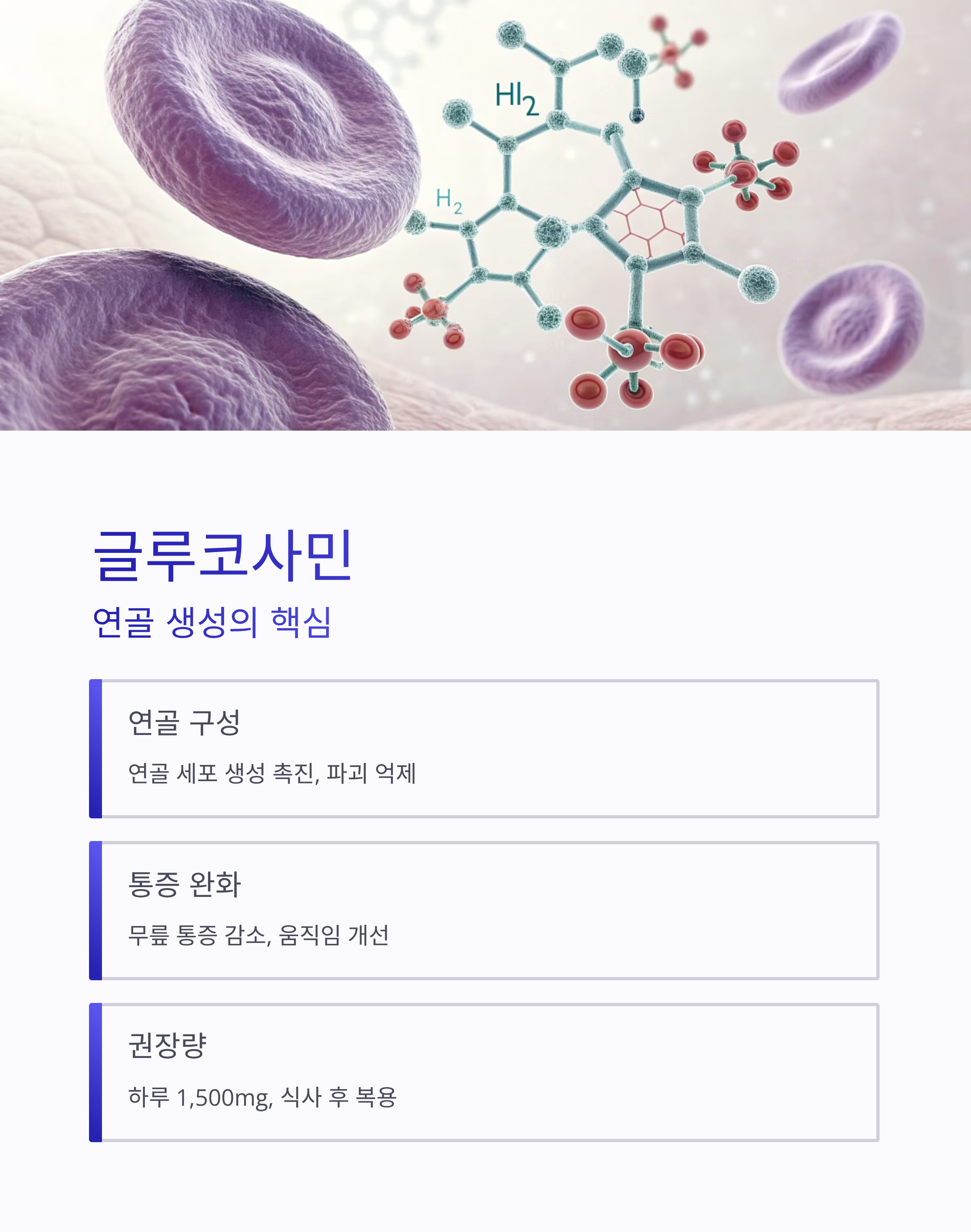 관절에좋은영양제 ❘ 연골&middot;뼈 건강 지키는 2025년 필수 보충제 완벽 가이드