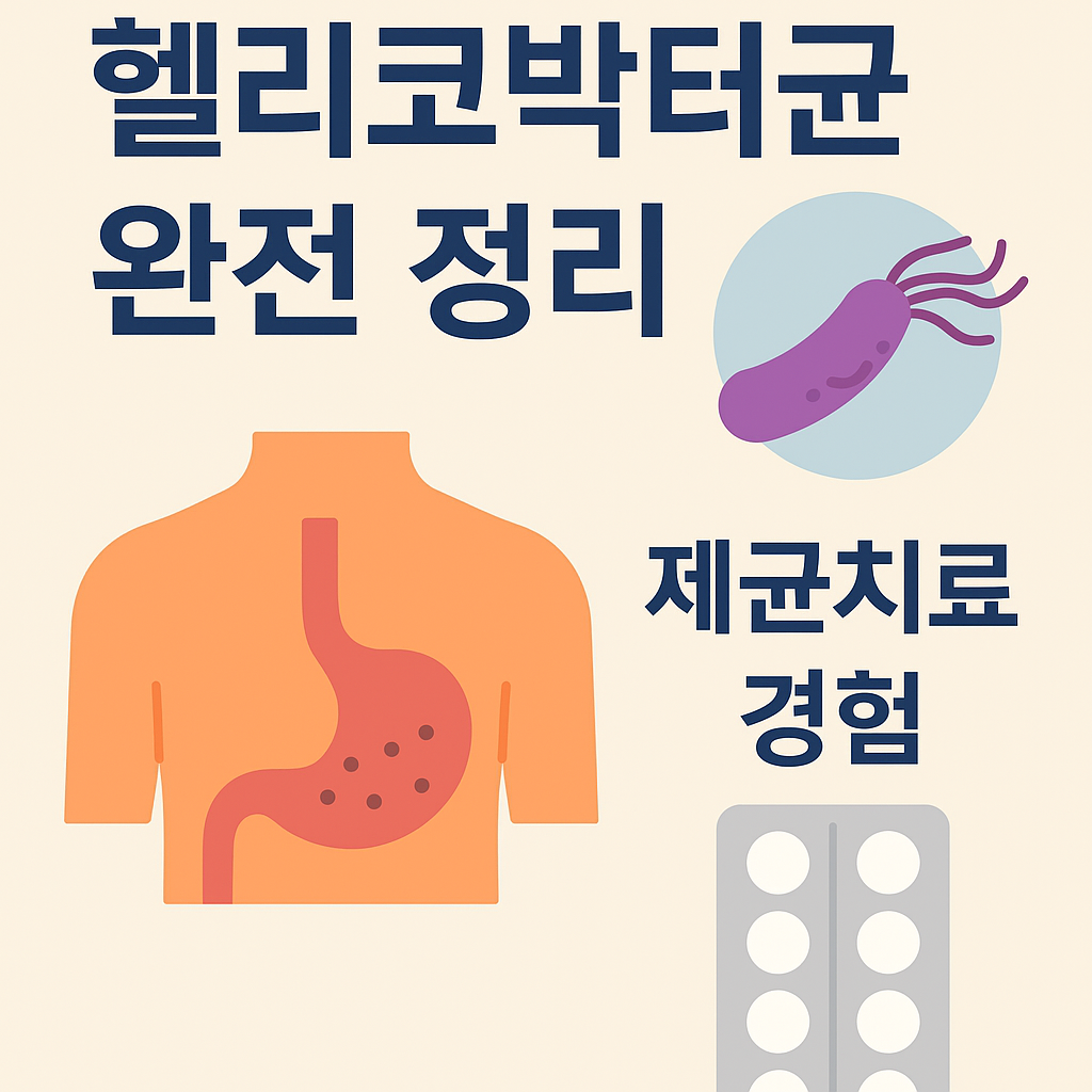 헬리코박터균 완전 정리 인포그래픽 &ndash; 제균치료 경험과 위 건강 관리 시각 요약 이미지